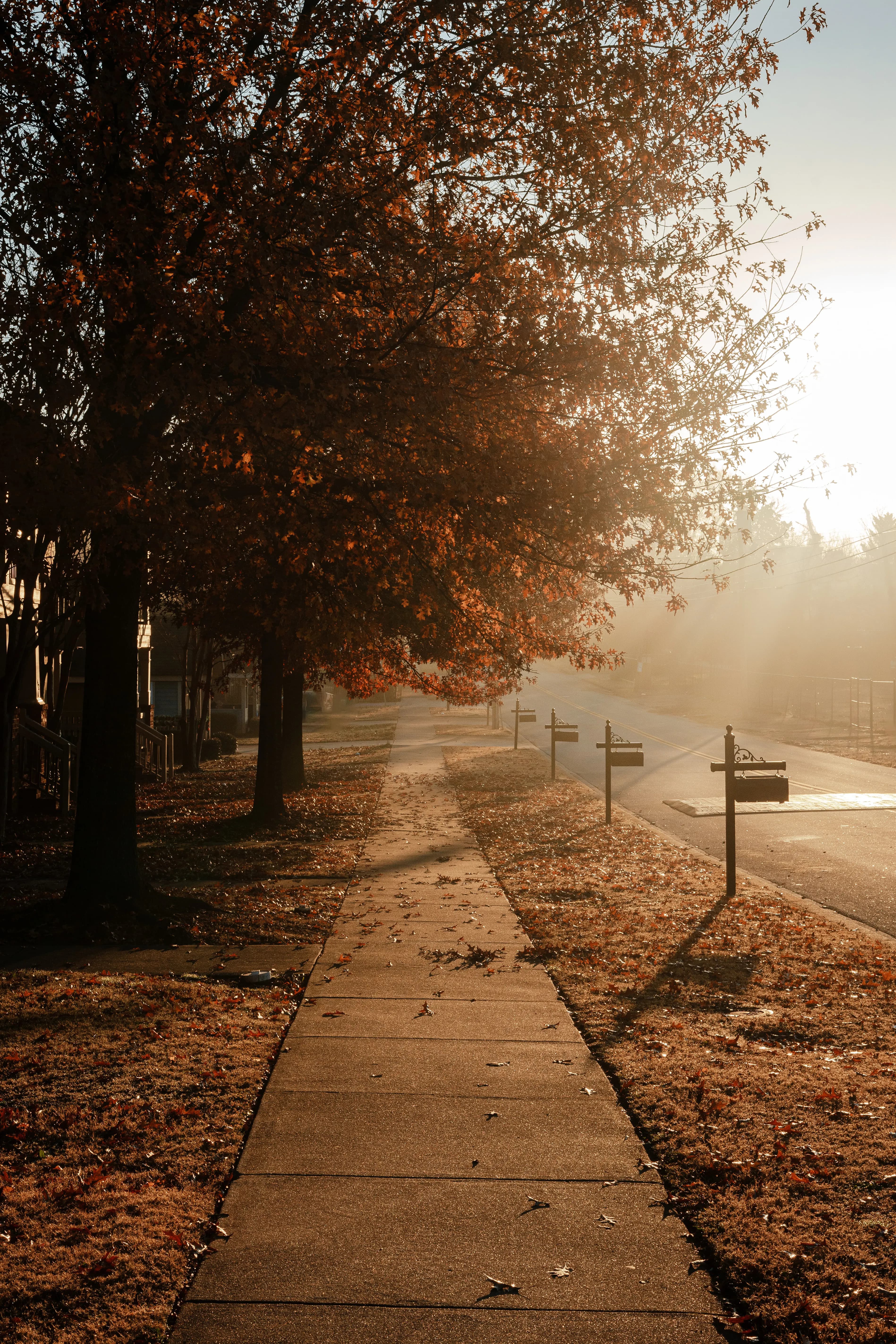 North Main, Greenville, SC: A Neighborhood Guide to Prices, Homes, Walkability, and Schools (2026)